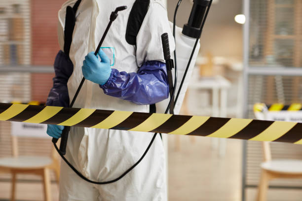 Professional Hoarding Cleanup technician working in Carteret, NJ